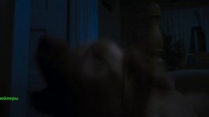 Глазами пса. Фильм 2025. Русский трейлер фильма.