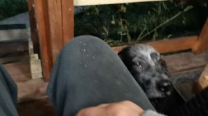 СОЧИ. ГОРНОЕ ЛОО. УТРО. 14.09.2025