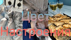 Птичий рынок в Варениковской.Цвет настроения.Бокал вина.