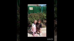 видео архив цыбулята домашняя видео семейное фото