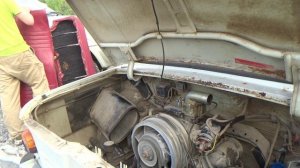 оживление ушастого часть 2