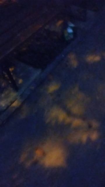 PXL_20250914_052805935