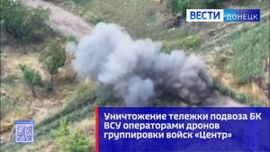 Уничтожение тележки подвоза БК ВСУ операторами дронов группировки войск «Центр»
