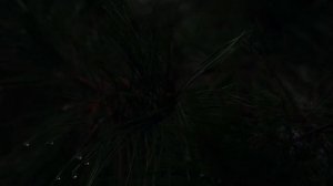 Ole Boy Davey - Ambitions (Ft. Steven Cannon) ( TBT x SAE4 Remix) (1080p_25fps_H264-128kbit_AAC)