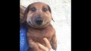 (April Fools) Final Escape Remix - Vs Sonic.exe ft. Kane Sucks