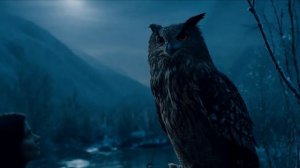 video_88 Река в лунную ночь