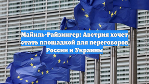 Майнль-Райзингер: Австрия хочет стать площадкой для переговоров России и Украины