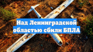 Над Ленинградской областью сбили БПЛА