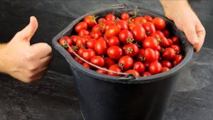 Маринованные помидоры ЧЕРРИ на зиму. Простой и вкусный рецепт консервации