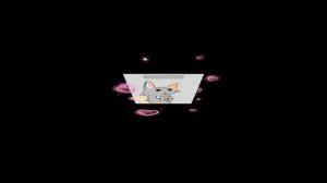 кот видео