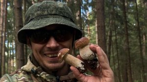 Как рыбалка превращается в прогулку за грибами