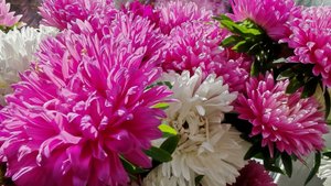 14-09-2025 домашние выходные в деревне