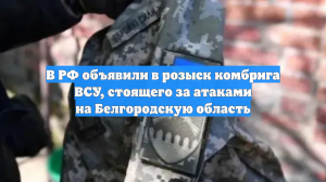 В РФ объявили в розыск комбрига ВСУ, стоящего за атаками на Белгородскую область