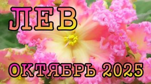 ЛЕВ таро прогноз на ОКТЯБРЬ 2025 года.