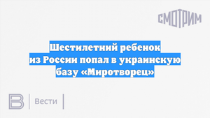 Шестилетний ребенок из России попал в украинскую базу «Миротворец»