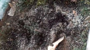 Осенние внесение в почву