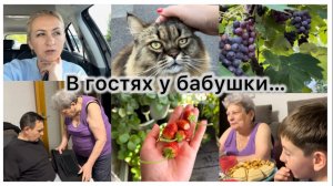 В гостях у свекрови ✔️А вы смотрите ? ✔️ новая стрижка 💇 покупки ✔️ закупка ✔️