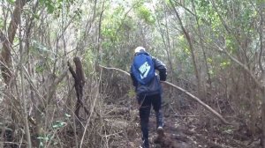 Поход в лес и заготовка дров в Уругвае  🌲🔨