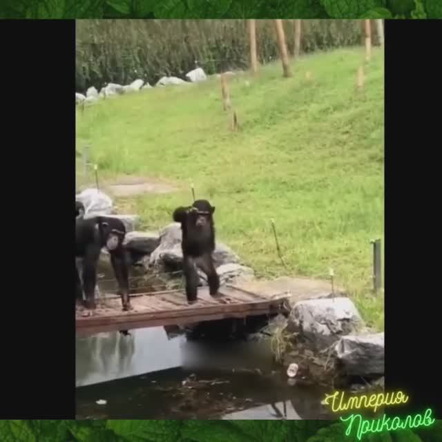 Сборник №61. Веселые моменты из обычной жизни!