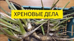 Хреновые дела.