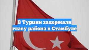 В Турции задержали главу района в Стамбуле
