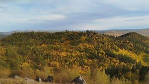 Осенняя тайга