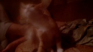 Кошачье семейство слушают музыку на даче