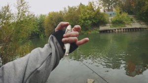 Мормышинг возле ТРЦ Изумрудный Город
