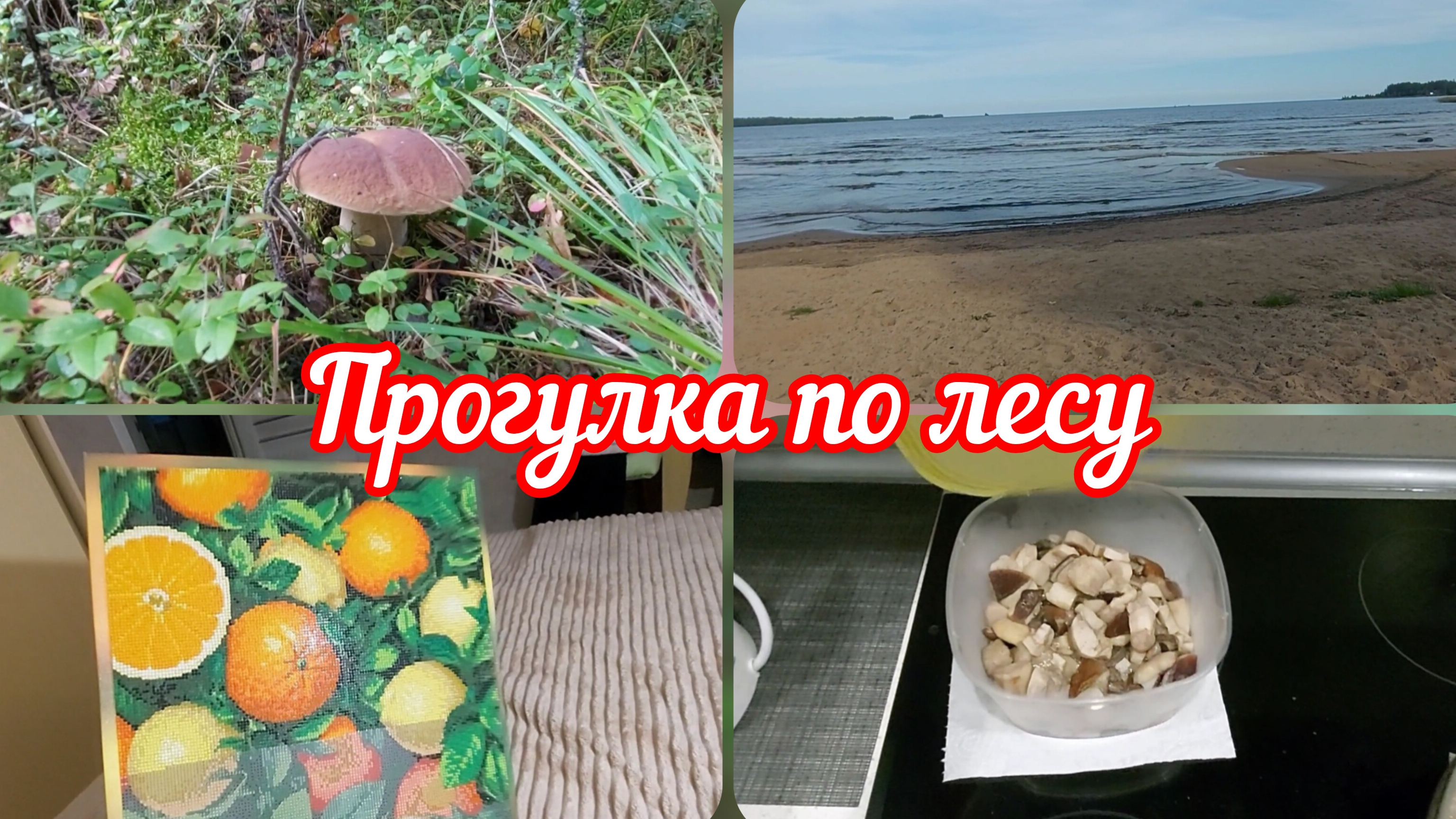 📽За грибами✌️Моё увлечение ✌️Прекрасный выходной #реальнаяжизнь