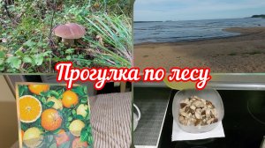 📽За грибами✌️Моё увлечение ✌️Прекрасный выходной #реальнаяжизнь