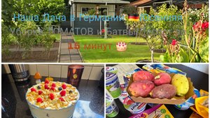 Торт Десерт 🎂🔥Небольшая Закупка 🛍Наша Дача в Германии/убираю участок /Томатную 🍅Батву