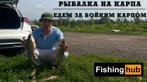 Едем за бойким карпом! Рыбалка на карпа!