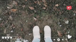 Зимние прогулки с хорьком