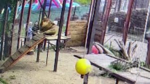 Шархан День Рождения Первые гости 14.09.2025