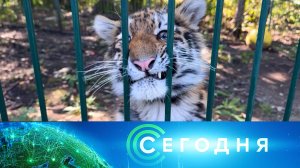 «Сегодня»: 14 сентября 2025 года. 16:00 | Выпуск новостей | Новости НТВ