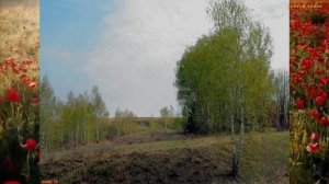 vovich архив 35