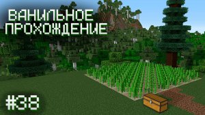 НОВОЕ ТРОСТНИКОВОЕ ПОЛЕ ▷ Прохождение Minecraft #38
