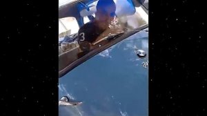 Всячинки