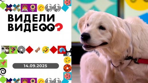 Видели видео? Выпуск от 14.09.2025