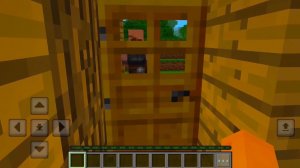 ЗАЧЕМ РЕШИЛИ ЖИТЕЛИ НАЧИНАТЬ ПОДЖИДАТЬ ЗА ДВЕРЬЮ МЕНЯ | MINECRAFT FLOZY