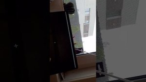 Город маинкрата