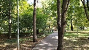 погожий денёк