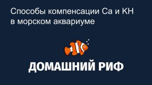 Способы компенсации кальция и KH в морском аквариуме: плюсы и минусы