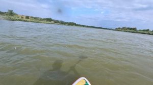 Пробный заплыв на Сапборде