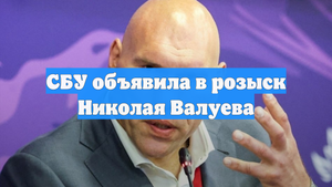 СБУ объявила в розыск Николая Валуева