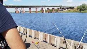 Места где ловится рыба