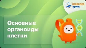Основные органоиды клетки. Видеоурок по биологии 9 класс