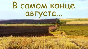 Коп 2025. В самом конце августа...