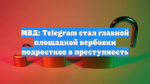 МВД: Telegram стал главной площадкой вербовки подростков в преступность