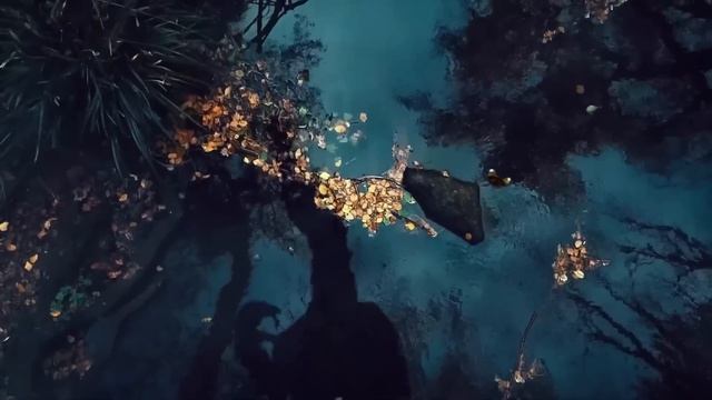 История Земли: катастрофы, гиганты и тайны исчезнувших животных